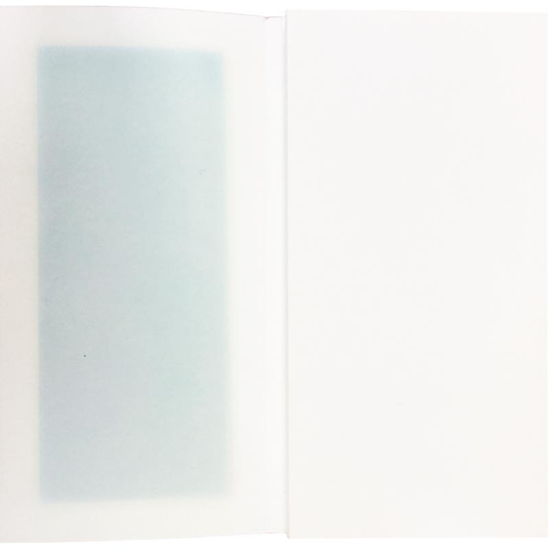 pastel de Marc couturier