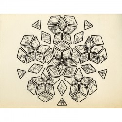 exposition "Matta, le centre du milieu" à la galerie Alexandre Iolas, à Paris, 1968