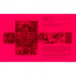invitation sur papier rose fluo pour l'exposition "Le honni aveuglant" de Roberto Matta chez Iolas, 1966