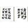 "50 lithographies originales" d'Henri Michaux, galerie Le Point Cardinal, 1984