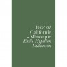 Émile Hypérion Dubuisson, Wild 01, Californie-Minorque, 2022