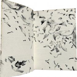 catalogue en lithographie de Cueco par Franck Bordas