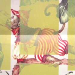 Détail du tirage offset-litho