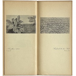 catalogue Max Ernst, Le monde frotté à la mine de plomb, 1965
