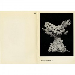 catalogue de l'exposition "Niki avant les Nanas" de Niki de Saint Phalle, 1972