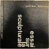 Julien Blaine, essai sur la sculpturale, galerie Denise Davy, ca 1965