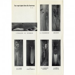 Toyen "Les Sept épées hors du fourreau", 1958
