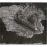 "Vostell à Paris"de François Dufrêne, 1961