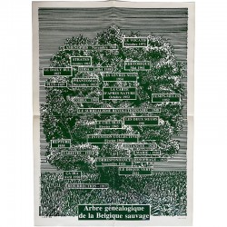 Théodore Koenig, Arbre généalogique de la Belgique sauvage, 1978