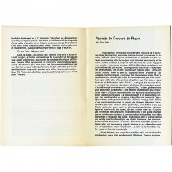 texte "La lumière du jour ou du néon" par Dan Flavin texte "La lumière du jour ou du néon" par Dan Flavin