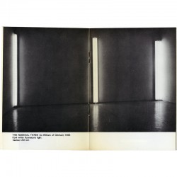 Dans Flavin "The nominal Three, 1963 - cool white fluorescent light Dans Flavin "The nominal Three, 1963 - cool white fluorescent light