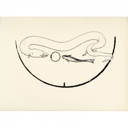 Max Ernst "Perturbations, délices et orgues" à la galerie Alexandre Iolas, à Paris, du 27 novembre 1973 au 5 janvier 1974