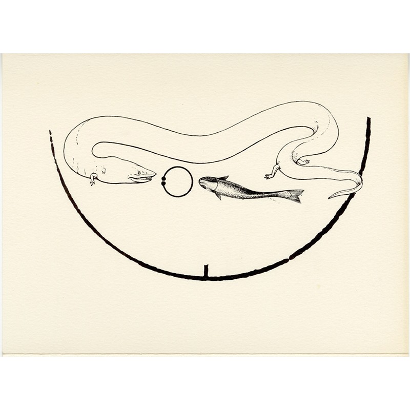 Max Ernst "Perturbations, délices et orgues" à la galerie Alexandre Iolas, à Paris, du 27 novembre 1973 au 5 janvier 1974