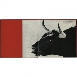 photographies de Lucien Clergue entre 1955 à 1962, arènes de Châteaurenard, Marseille, Le Grau du Roi