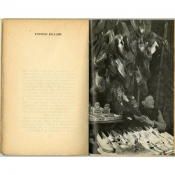 Une des 8 photos d'Édouard Boubat illustrant le livre de Robert Crégut "La tête froide "
