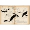 souvenirs de Vertès illustrés par lui de 200 dessins, 1952