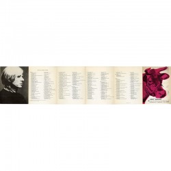 Andy Warhol, sérigraphies à l'ARC, Marilyn, Brillo Boxes, Campbell's soup can, Flowers...