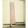 John Mc Cracken, galerie Ileana Sonnabend, 1969