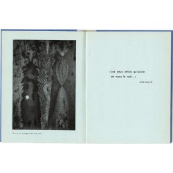 Toyen, Il y a un rossignol et une nuit, catalogue de la galerie Raymond Cordier, 1962