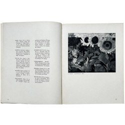 Les Cahiers d'art, Emil Nolde, 1938