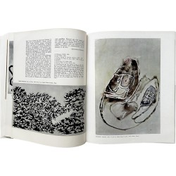 revue XXe siècle, n°22, « Le « lointain Intérieur » d'Henri Michaux » par Geneviève Bonnefoi