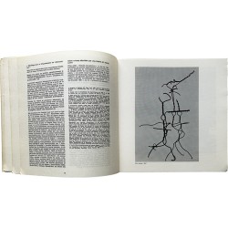 Livre de Jacques Villeglé sur son travail des affiches lacérées anonymement