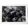 Le tirage argentique signé par Bernard Plossu, accompagnant le livre d'artiste