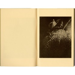 Michele Zaza, 15 illustrations pleine page NB, édition Samanedizioni, mars 1981