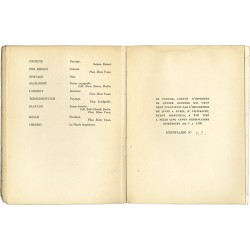 texte de Wilhelm Uhde illustré de Kisling, Soutine, Chagall, Pascin, Grunewald, Survage,, Lanskoy, Terechkovitch, de Chirico