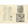 Linien 1937 : Hans Arp, Sophie Taeuber-Arp, Max Ernst, Piet Mondrian, Hans Ollgaard, Sonja Ferlov, Henry Heerup