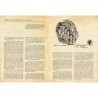 texte "Que se passe-t-il?" de Christian Dotremont sur Pierre Alechinsky, 1954