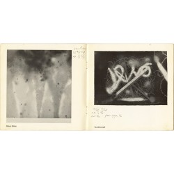catalogue des lithographies de James Rosenquist éditées par Léo Castelli, 1970