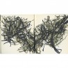 Riopelle, hors-texte en lithographie, ateliers Arte, Paris