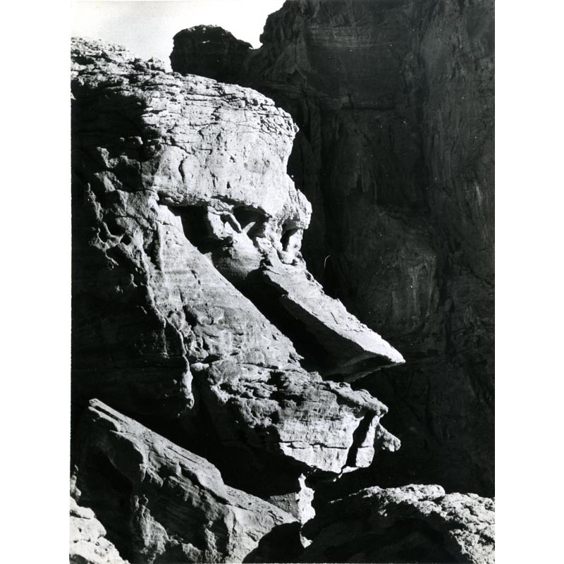 Pierre Tairraz : Tête de Sphinx - Neguev