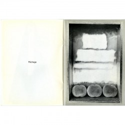 Catalogue Man Ray, galerie du Prieuré