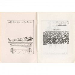 UN VOL AU CIRQUE ou LE SOMMEIL DU ROI, 1977, de Gilles Brenta, Tom Gutt et Floc Terfve