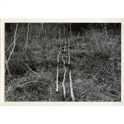 Richard Long, A line in Canada
